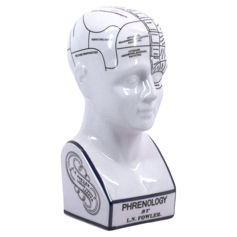 Authentic Models Phrenology Head - Small