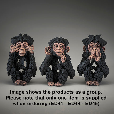 Edge Baby Chimpanzee "Speak no Evil"